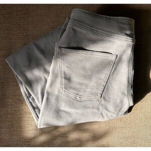 NWT Womens Patagonia Escala Rock Feather Gray Pants - Size 4